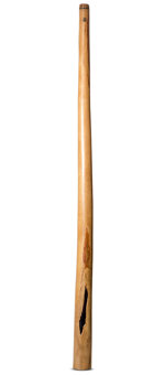 Wix Stix Didgeridoo (WS346)